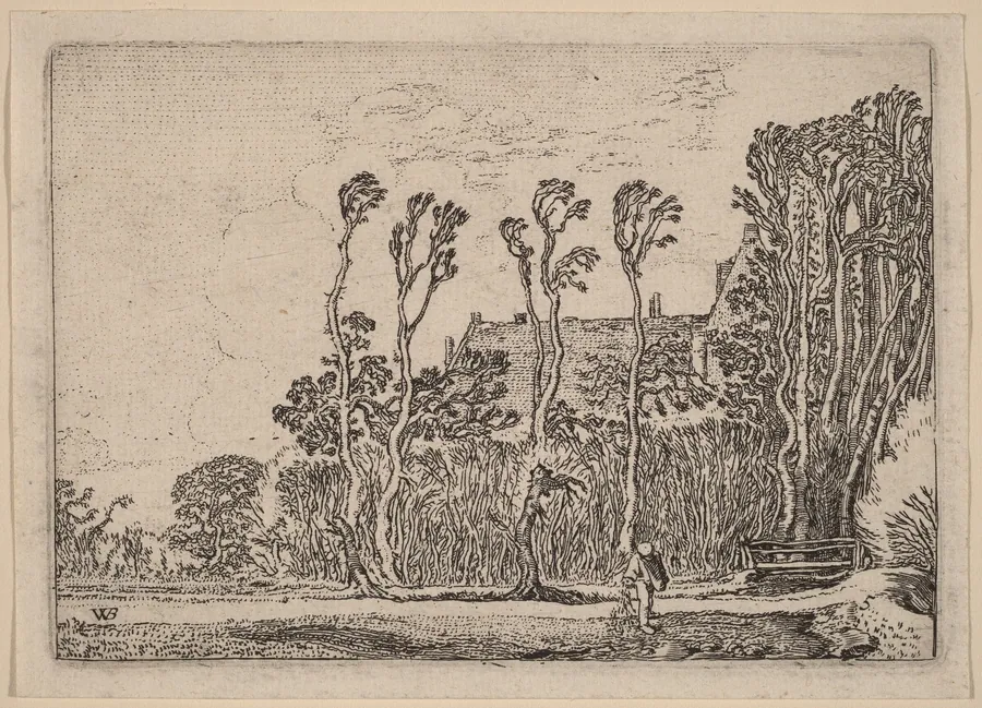 The Sower by Willem Buytewech