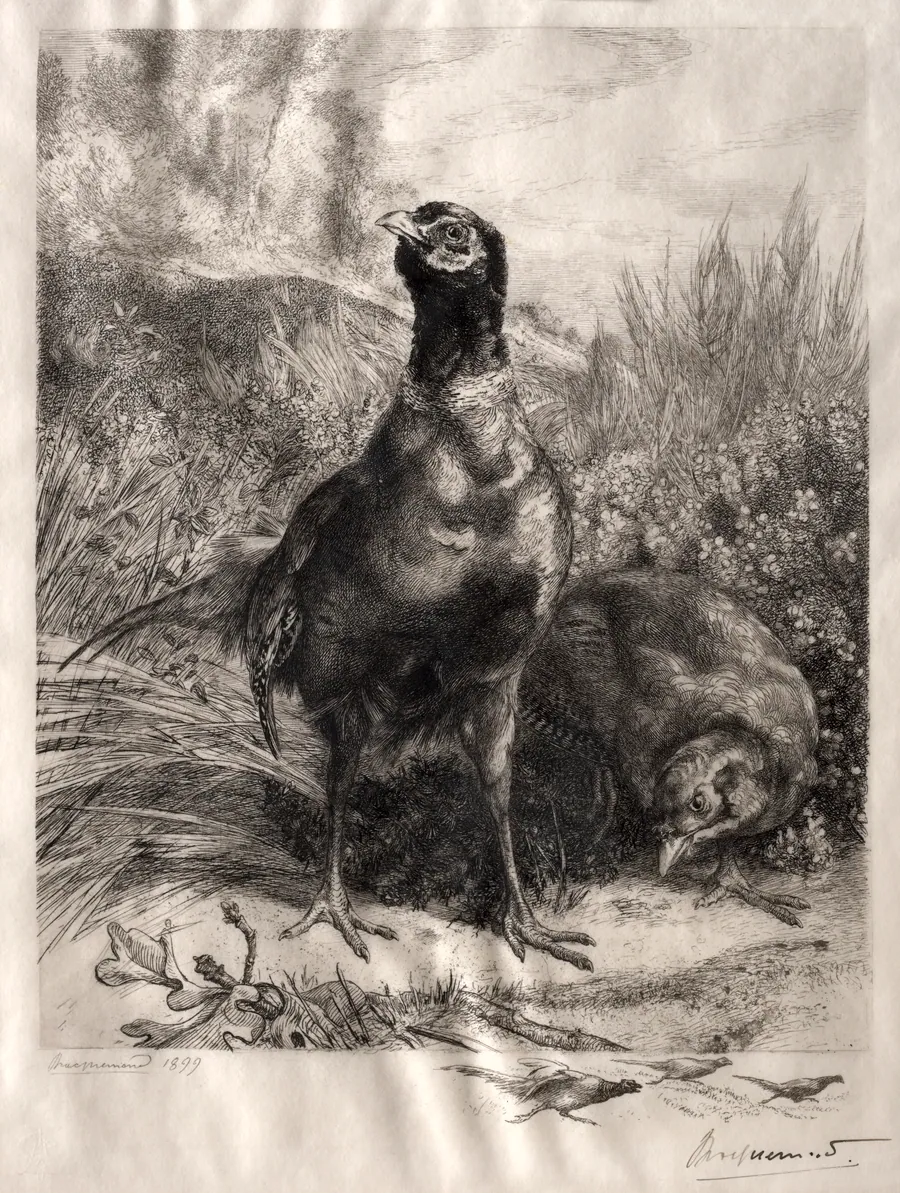 The Pheasants by Félix Bracquemond