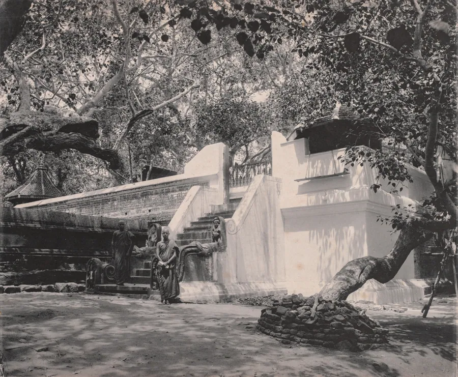 Monks Outside Temple, Ceylon by A. W. A. Plâté Studio