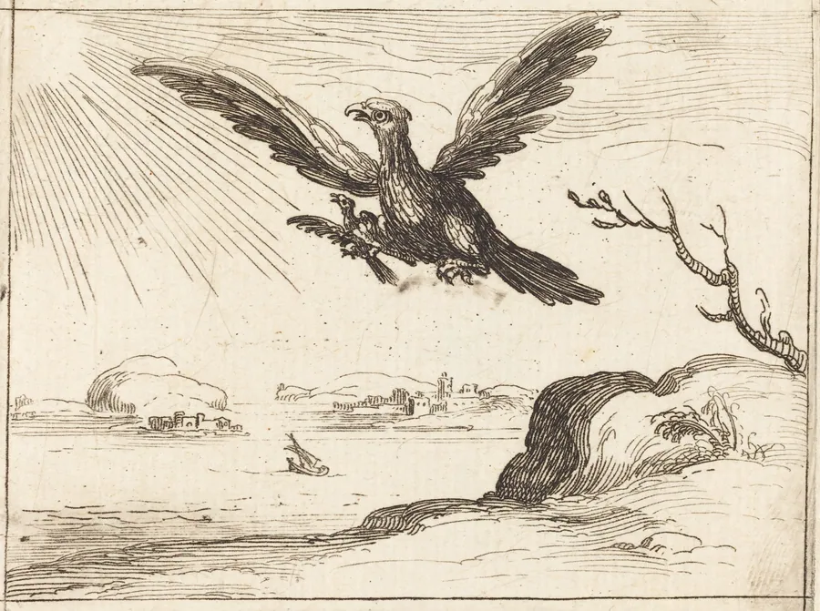 Eagle and Young by Jacques Callot