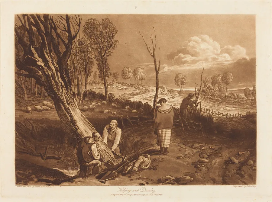 Hedging and Ditching by J.C. Easling
