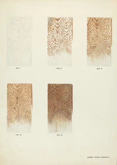 Technique Demo (Wood Grain)