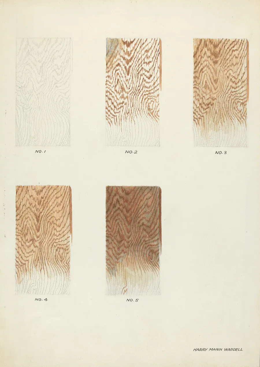 Technique Demo (Wood Grain) by Harry Mann Waddell