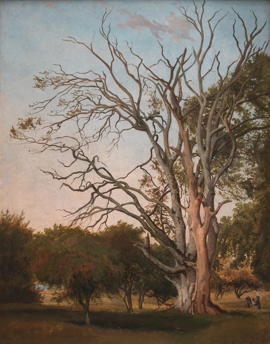 Skovparti med udgået træ by Hermann Carmiencke