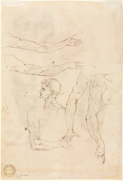 Sketches of Five Arms and a Head (verso)