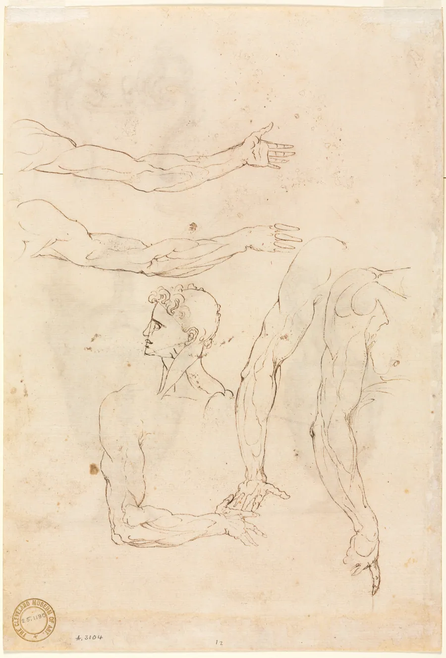 Sketches of Five Arms and a Head (verso) by Luzio Romano