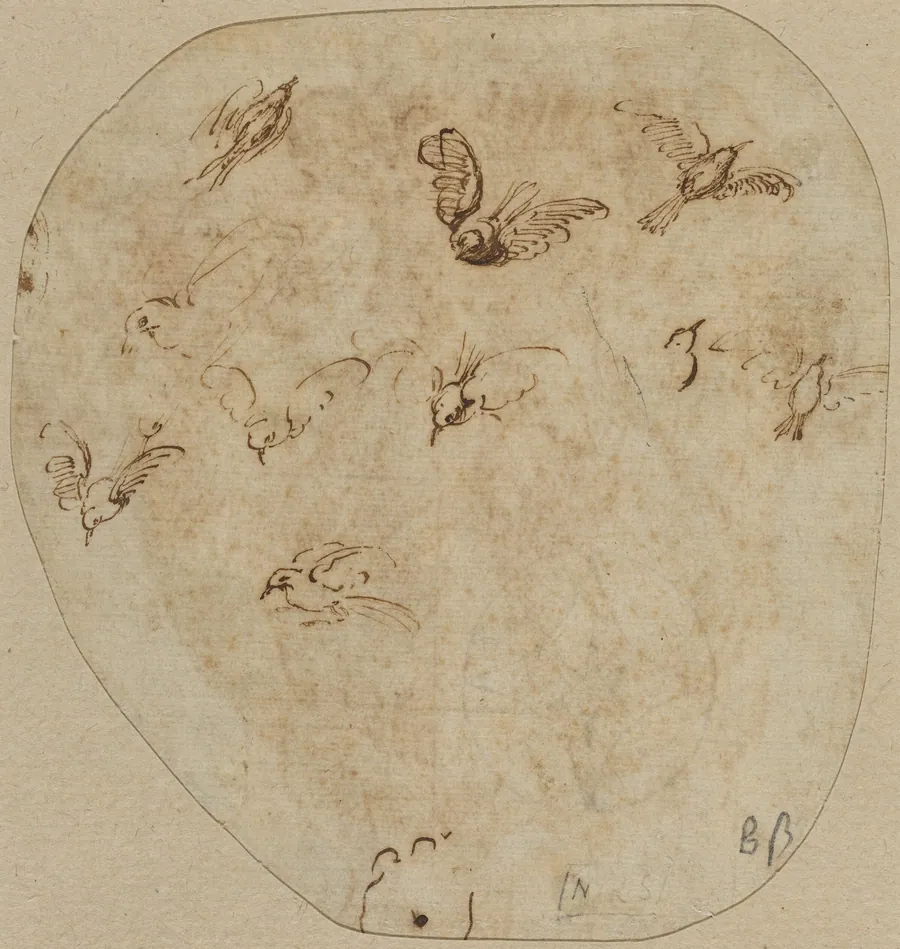Birds in Flight [verso] by Girolamo Mazzola Bedoli