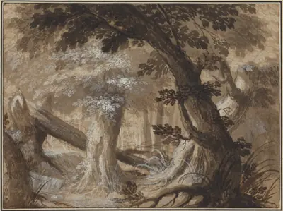 Forest Interior