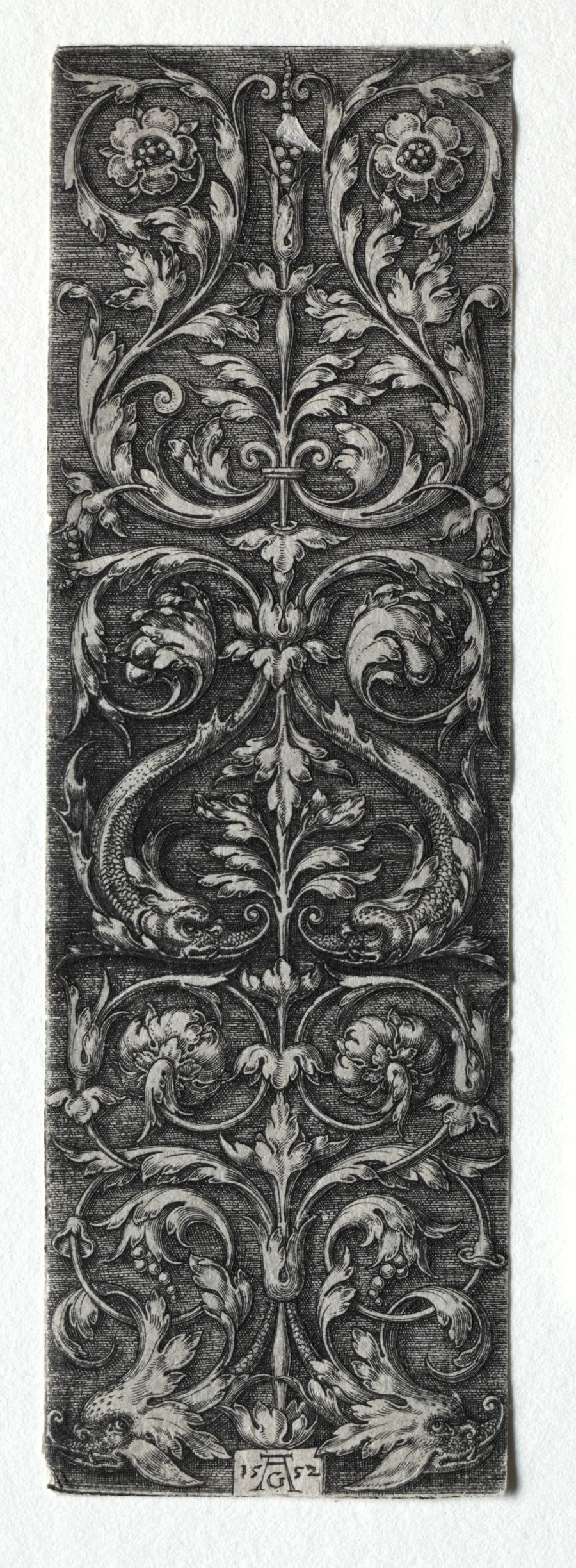 Ornament Design with Fishes by Heinrich Aldegrever