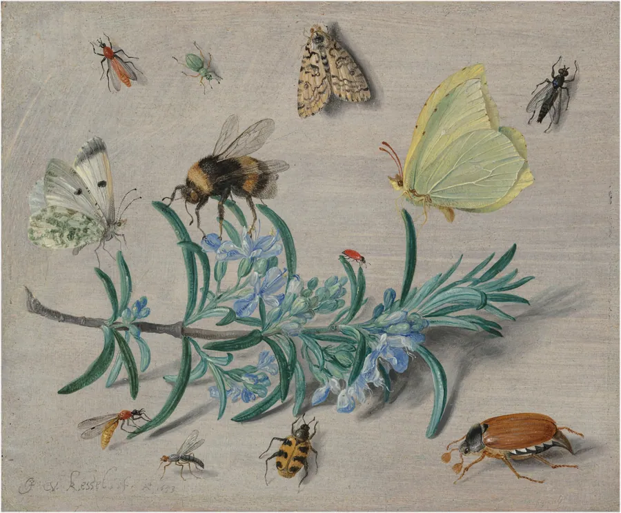 Insects and a Sprig of Rosemary by Jan van Kessel the Elder