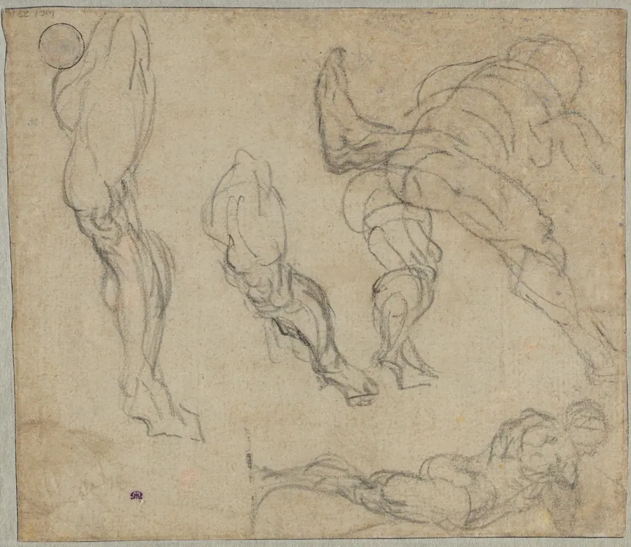 Figures and Legs (verso) by Jacopo Tintoretto