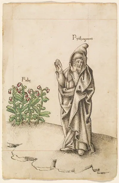 "Do Not Eat Beans" [fol. 25 recto]
