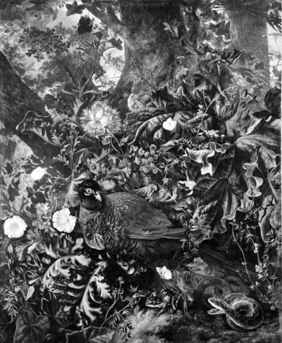 En rugende fasan by Otto Marseus van Schrieck