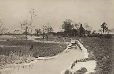 The Edge of the Broad