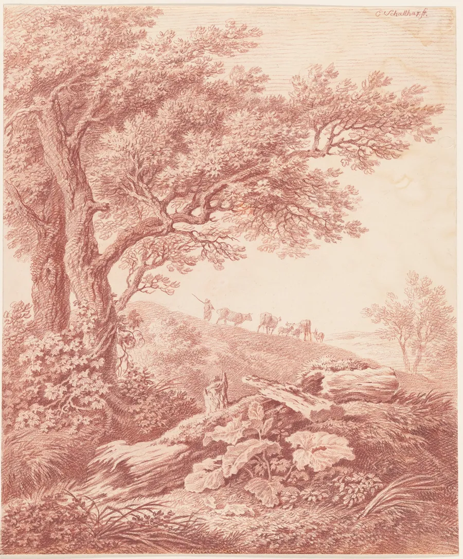Ancient Trees in a Pastoral Landscape by Carl Philipp Schallhas