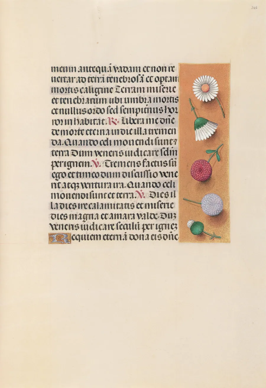 Hours of Queen Isabella the Catholic, Queen of Spain:  Fol. 245r by Master of the First Prayerbook of Maximillian