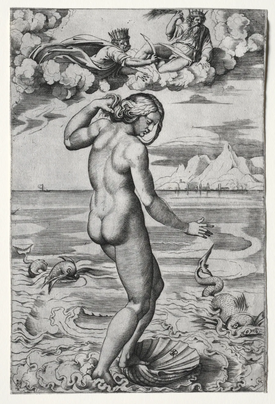 The Birth of Venus by Marco Dente