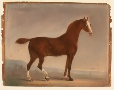 Stående brun hest