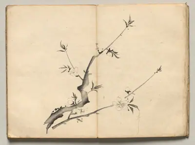 Cherry from Ōkyo Picture Book