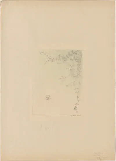 Salamander (La Salamandre)