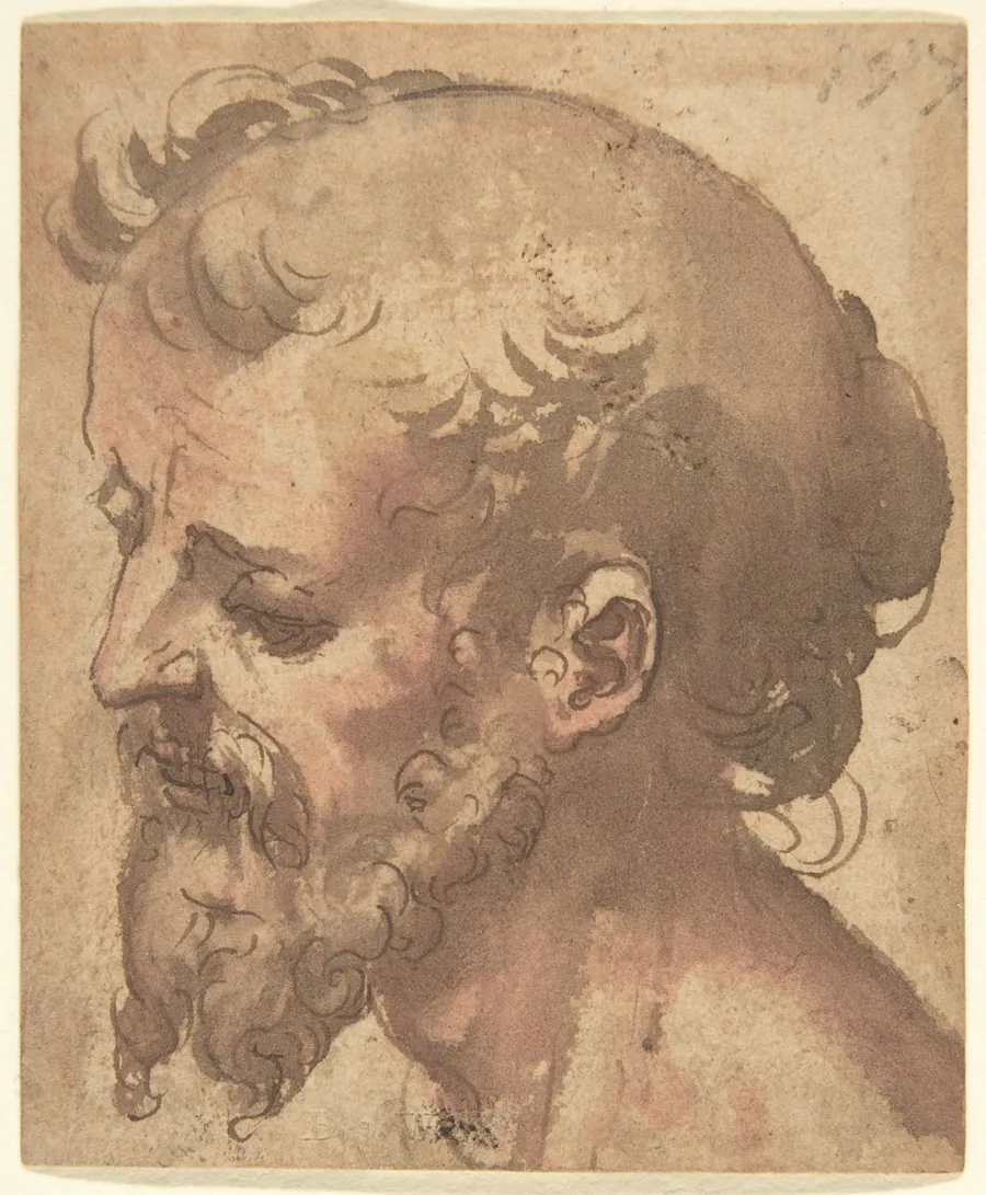 Head of a Bearded Man by Anonymous, Italian, Sienese, 16th century