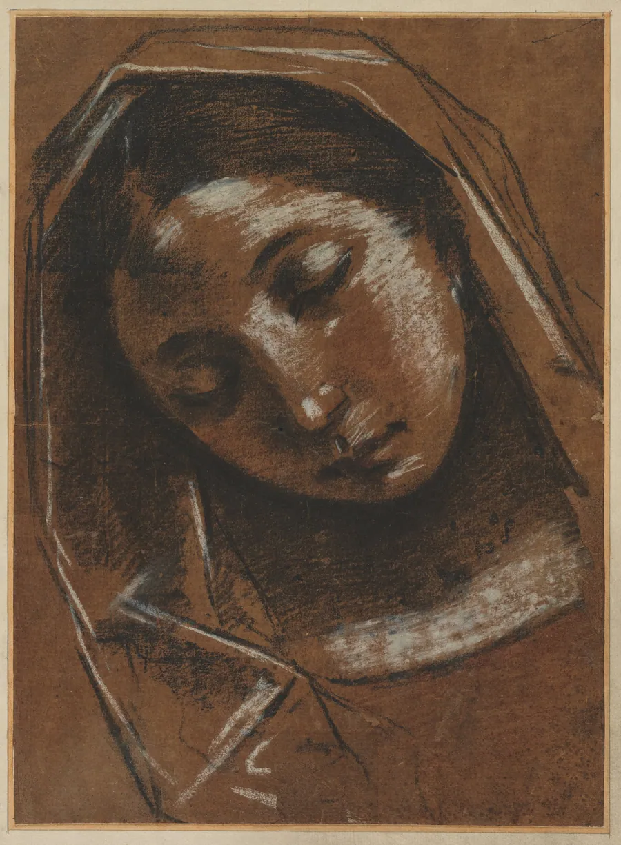 Head of the Virgin by Giacomo Cavedone