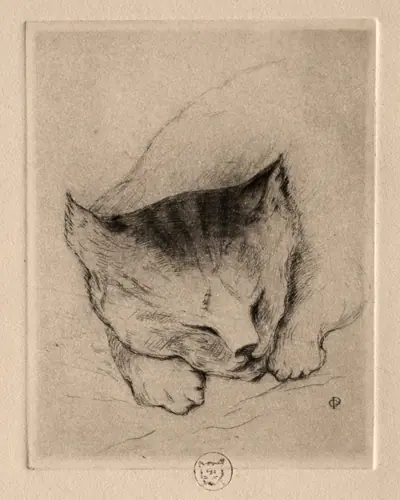 Six Etchings: Head of a Kitten