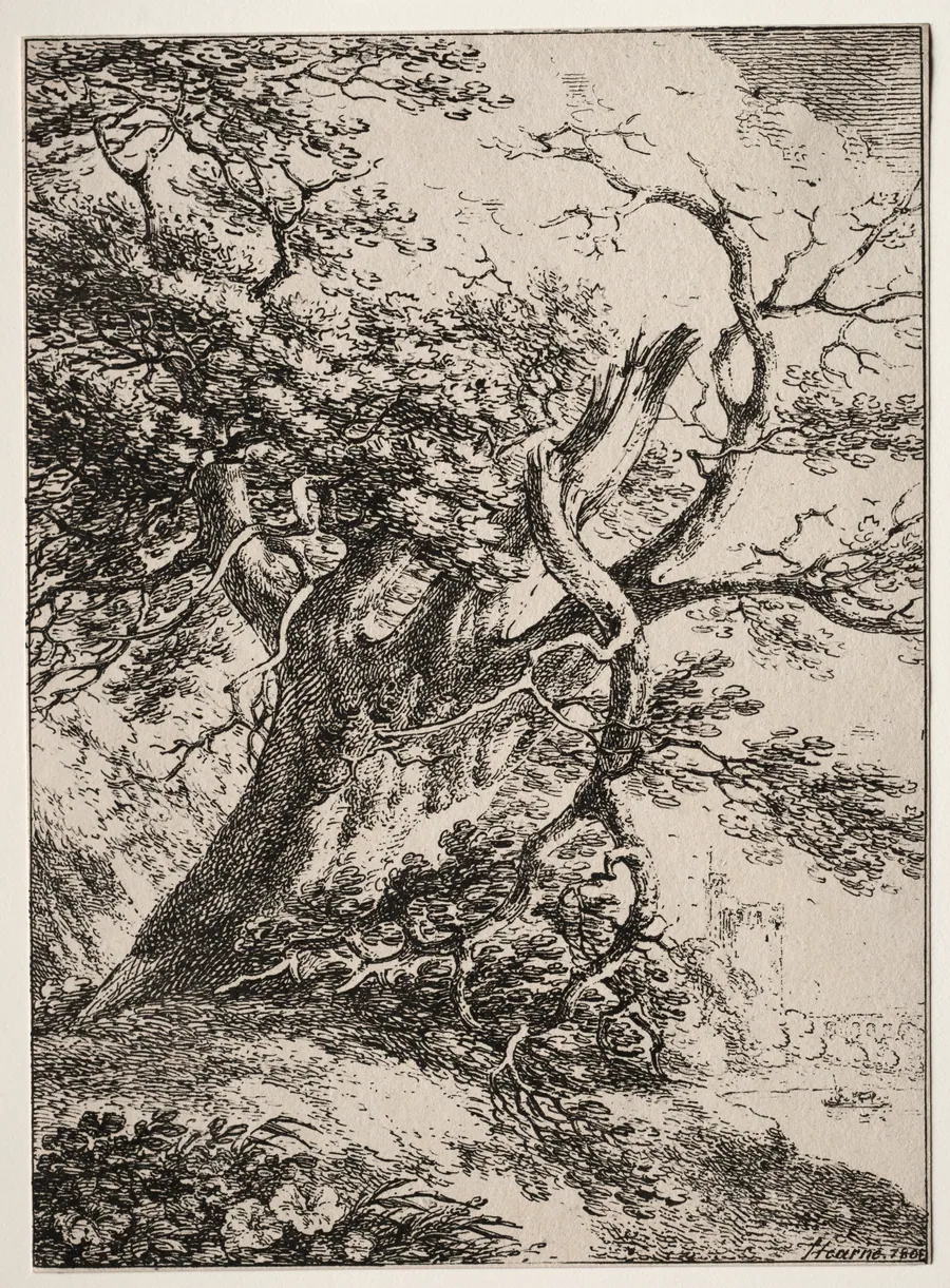 Specimens of Polyautography:  Landscape with an Oak Tree by Thomas Hearne