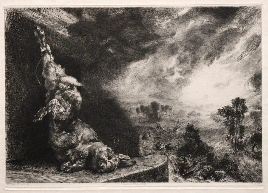 The Large Rabbit by Félix Bracquemond