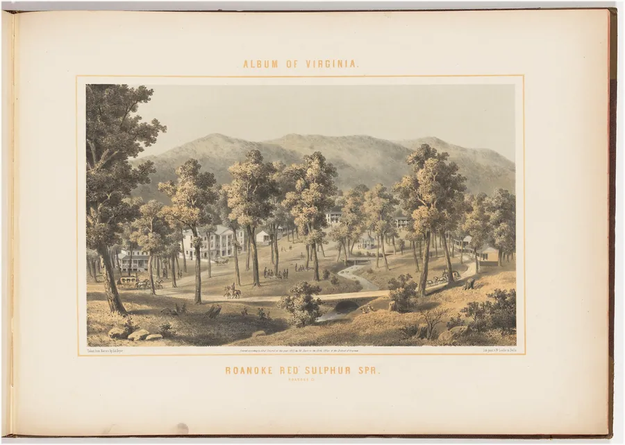 Roanoke Red Sulphur Spring by Edward Beyer