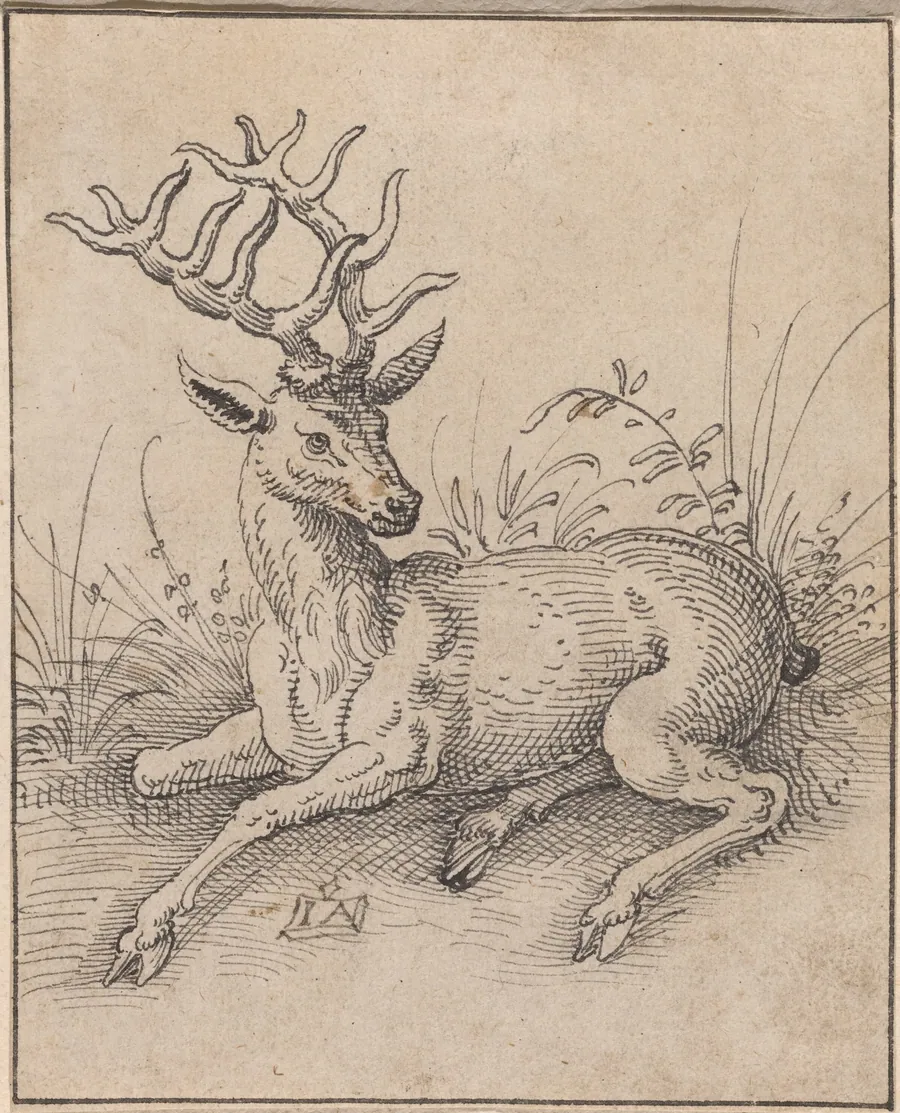 The Stag by Jost Amman