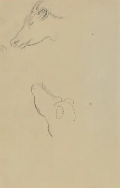 Head of a Cow [recto]