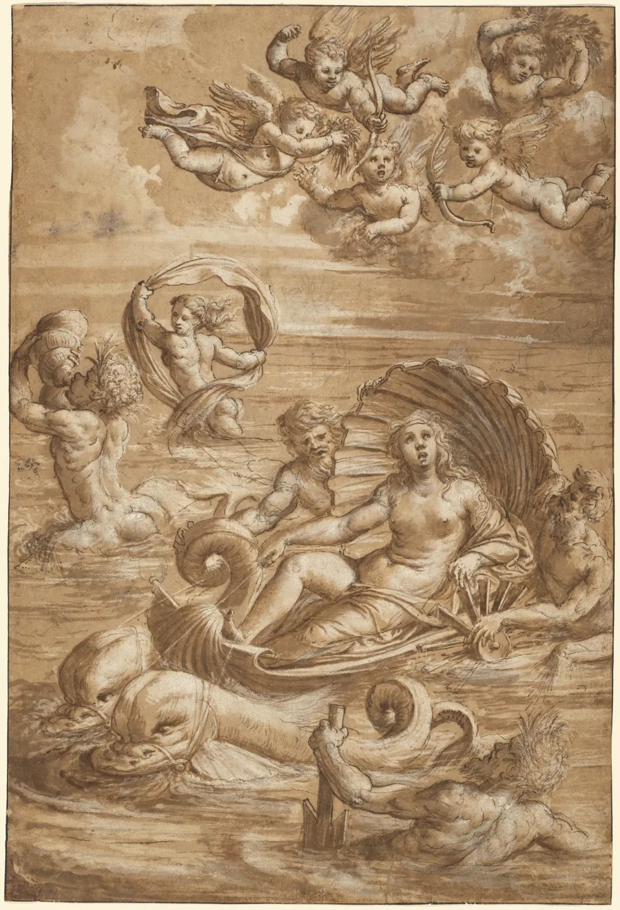 The Triumph of Galatea by Girolamo da Treviso II