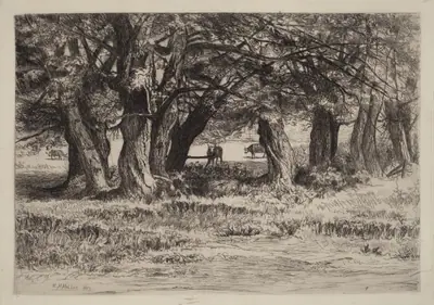 A Group of Willows