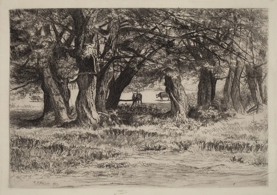 A Group of Willows by Eleazer Hutchinson Miller