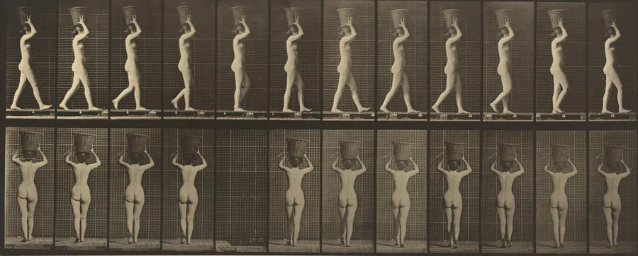Plate Number 34. Walking and carrying a 15-lb. basket on head, hands raised by Eadweard Muybridge