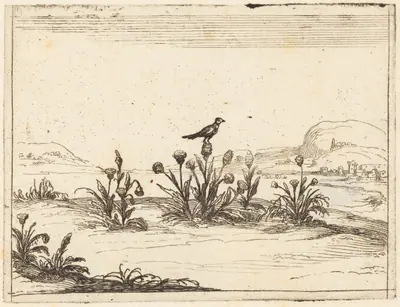Bird Perched in a Thistle