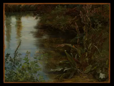 Study of Water and Plants