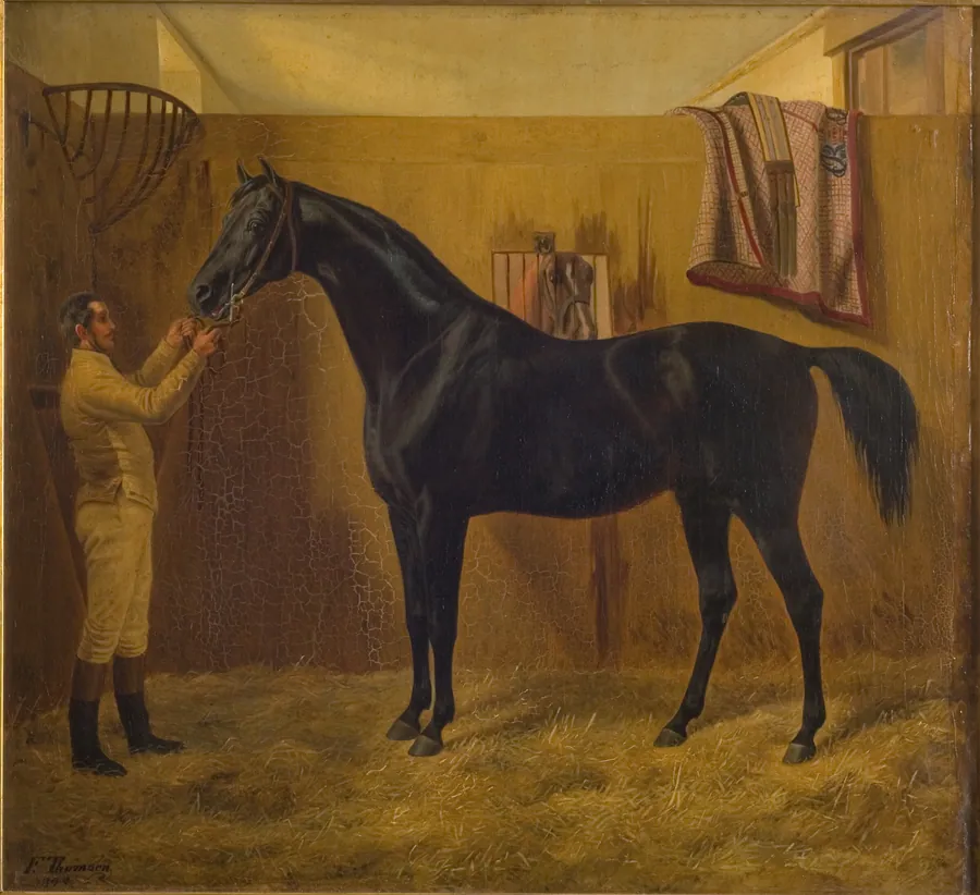 Black Comet by Fritz Thomsen