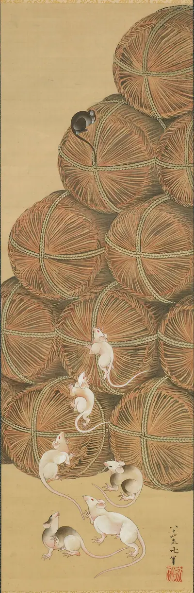 Rats and rice bales