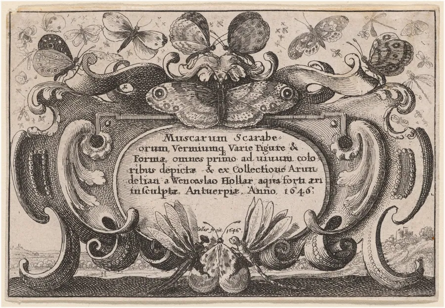 Title Page by Wenceslaus Hollar