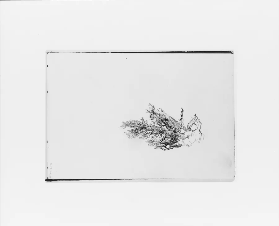 Nature Study (from Sketchbook X) by William Trost Richards