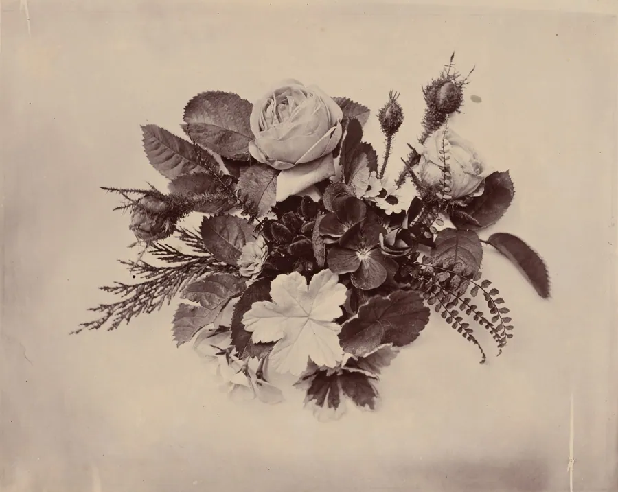 Flowers by Reverend David Thomas Kerr Drummond