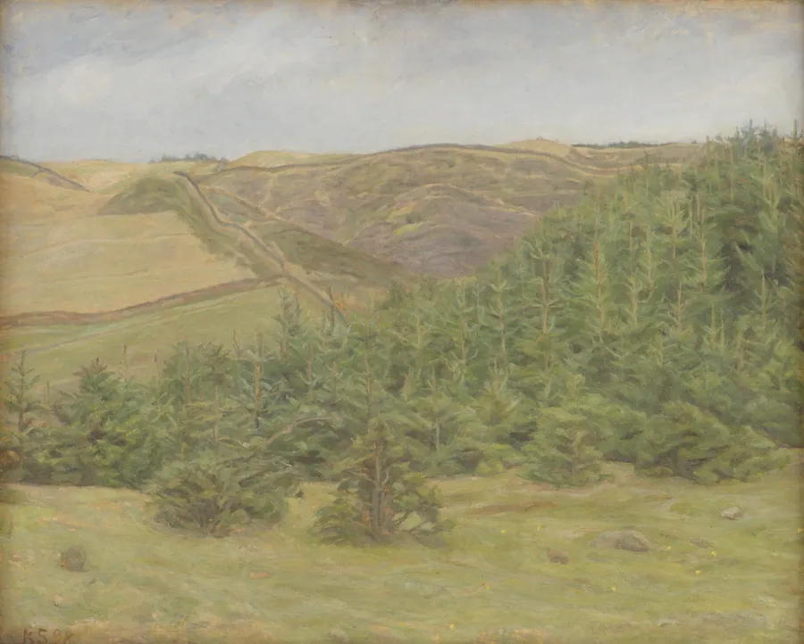 Svanninge Bakker by Karl Schou