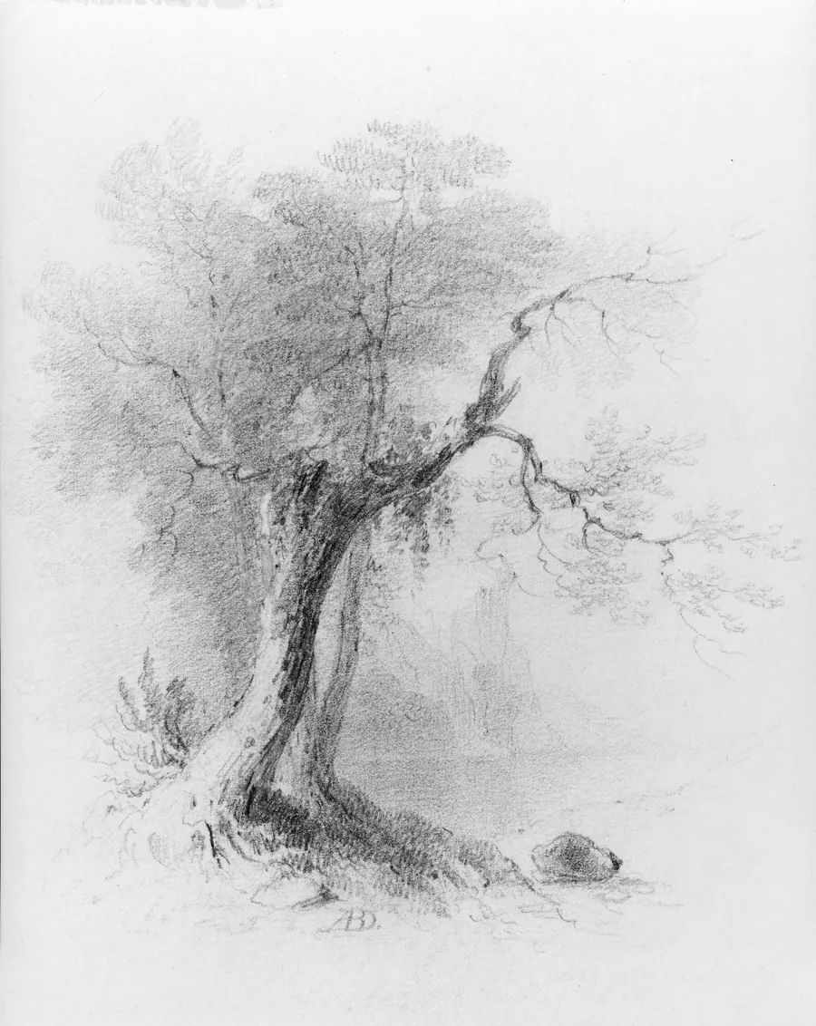 Landscape (from McGuire Scrapbook) by Asher Brown Durand