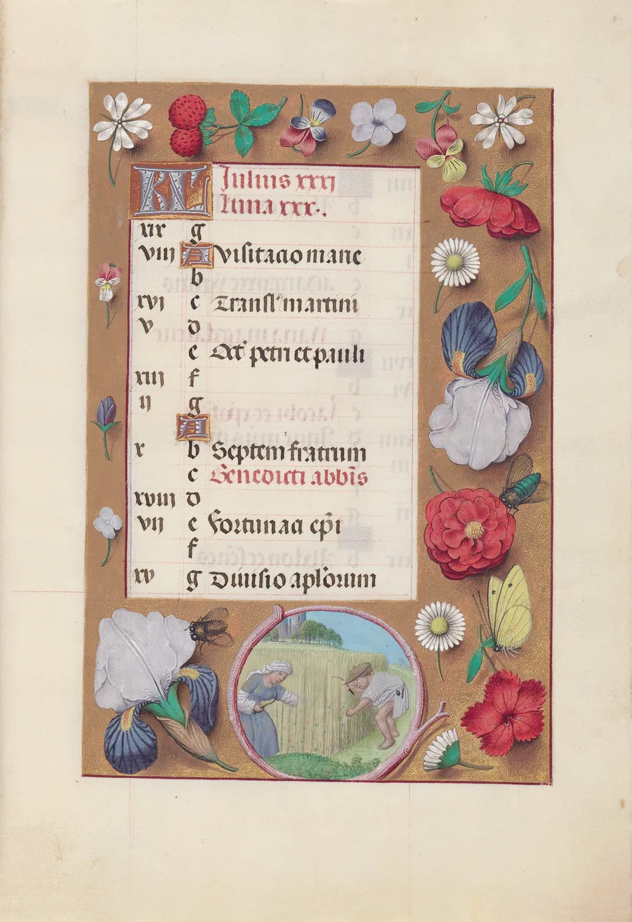 Hours of Queen Isabella the Catholic, Queen of Spain:  Fol. 8r, July - Harvesting Wheat by Master of the First Prayerbook of Maximillian