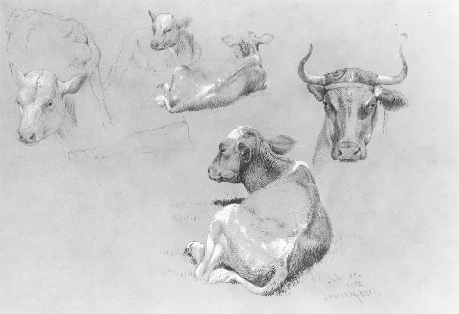 Studies of Cows and Calves by James M. Hart