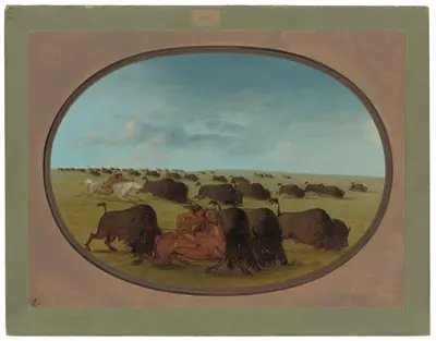 Buffalo Chase, with Accidents