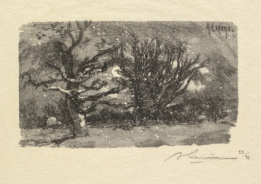 Fontainebleau Forest: Au dormoir de Lantara (La Forêt de Fontainebleau: Au dormoir de Lantara) by Auguste Louis Lepère
