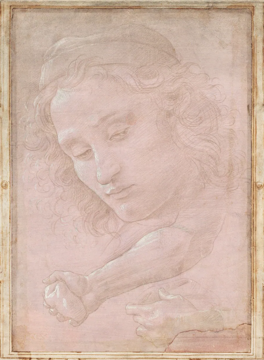 Head of a Youth Wearing a Cap; a Right Forearm with the Hand Clutching a Stone; and a Left Hand Holding a Drapery by Sandro Botticelli